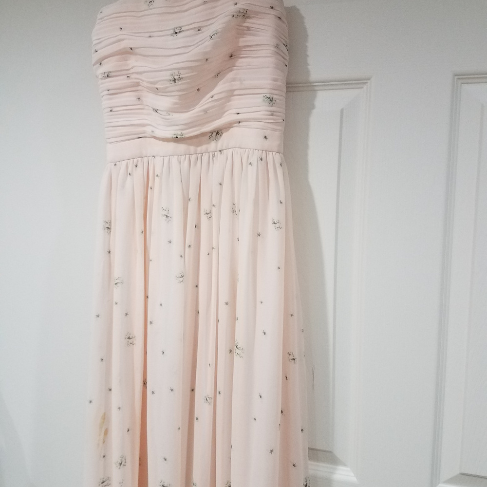 Anthropologie Erin Fetherston Gown / maxi Dress